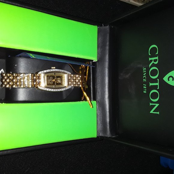 Croton Watch main image 5